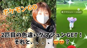 クマシュン Youtube