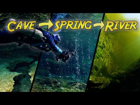 Diving a high-flow cave!  The Devil's Spring system at Ginnie Springs in Florida!