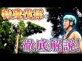 【解説】道具・トップカット・グラウンドの動きまで徹底解説!|宮崎県美郷町の木こりさんたちに池田太一が特殊伐採を解説!