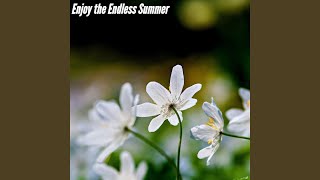 Alluring Ambience for Amazing Starts
