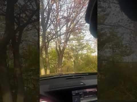 첸-사월이지나면우리헤어져요(Cover.신호대기남)  Chen-beautiful good bye
