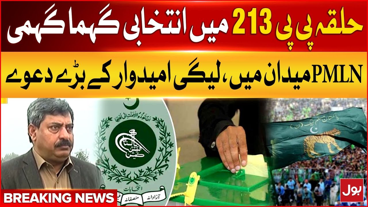 Pakistan Rana Ali Rajput PMLN In Action | Election 2024 In Pakistan | Rana Ali Abbas Interview ...