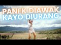 Vita Alvia Dj Terbaru - Panek Diawak Kayo Diurang (Official Music Video ANEKA SAFARI)