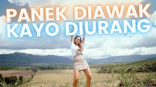 Vita Alvia Dj Terbaru - Panek Diawak Kayo Diurang (ANEKA SAFARI)