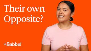 What Are Contronyms? Details