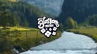 saiko - sequoia