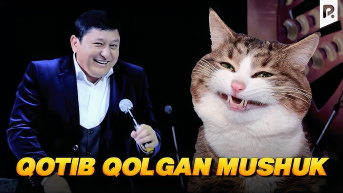 Paypoqdagi ajoyib kaltaklar Kattalar uchun onlayn porno oyinlar