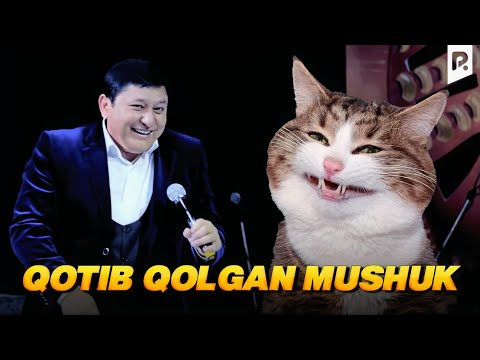 Ash Di shahridagi seksual sportchi ayollar videosi