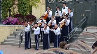 Proyecto Chicago Mariachi