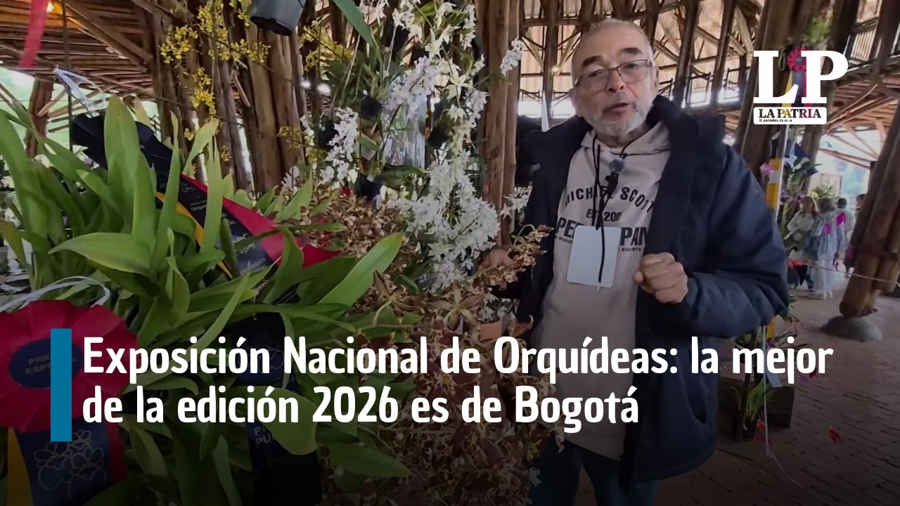 Exposición Nacional de Orquídeas en Manizales: la mejor de la edición 2026 es de Bogotá