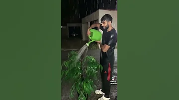 Adam W Tik Tok Shorts 