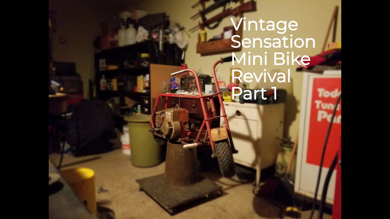 Vintage Sensation Mini Bike Revival Part 1