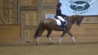 Developing Canter