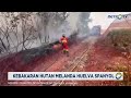 Kebakaran Hutan Spanyol Meluas, Ribuan Hektare Lahan Hangus