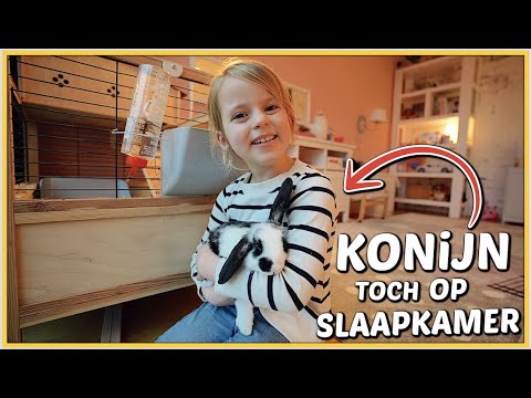 Video: Gaan konijnen terug naar hun hok?