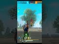 صاي كملت ليستوار        