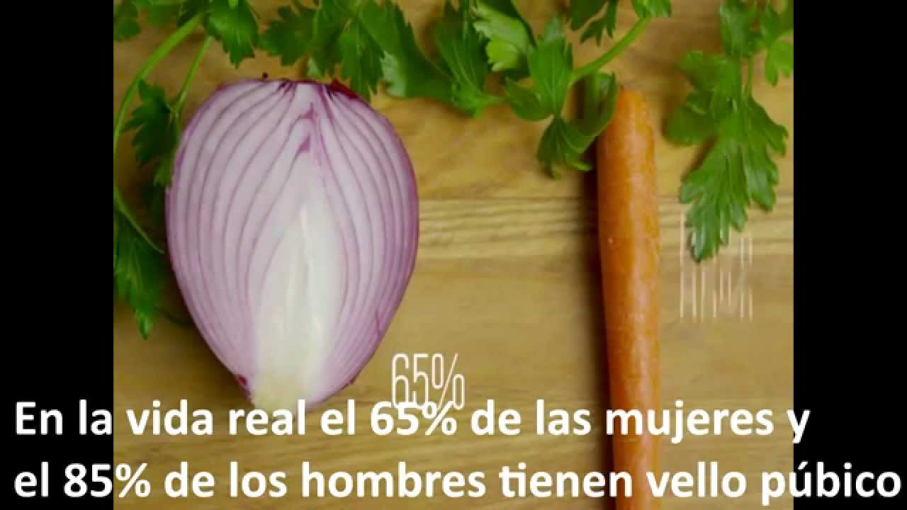 Video Gratis Casero