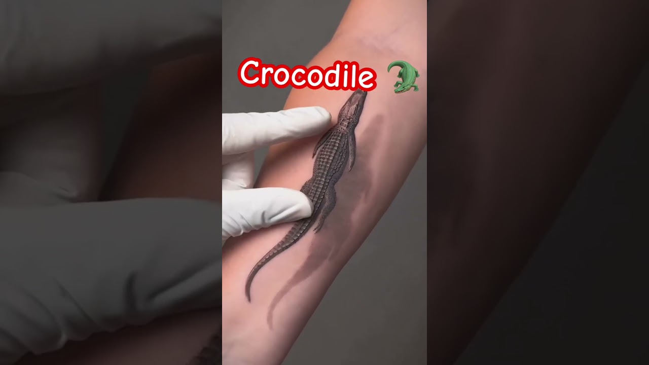 Real Crocodile 🐊 || Yadwinder Singh Yadi 