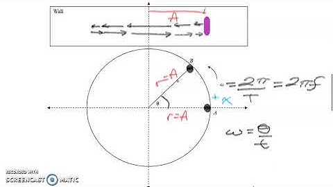 Simple Harmonic Motion 3 Cosine