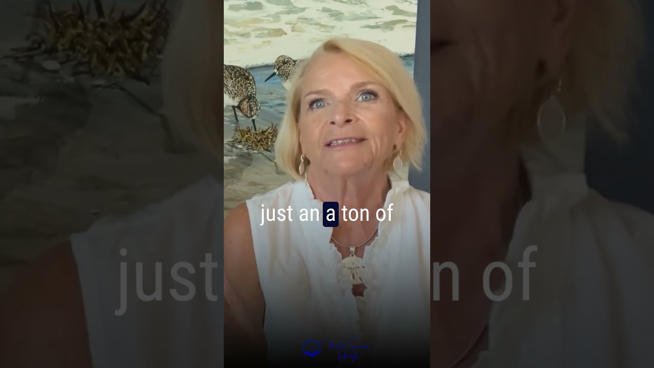 📍 Discover the Florida Suncoast!// Florida