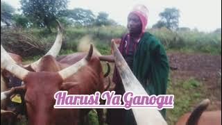 LUSANGIJA NZINZA = HARUSI YA GANOGU NAMBA MBILI Madulu Studio