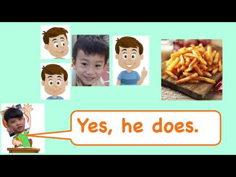 does she like? does he like? do you like song