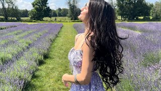 Lavender Farm Vlog Neha Jethwani Canada