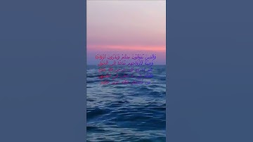 سورة البقرة اية 240 - مع صوت البحر بصوت جميل - وَالَّذِينَ يُتَوَفَّوْنَ مِنكُمْ وَيَذَرُونَ