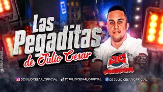 SALSA BAÚL LAS PAGADITAS DE DJ JULIO CESAR #2023