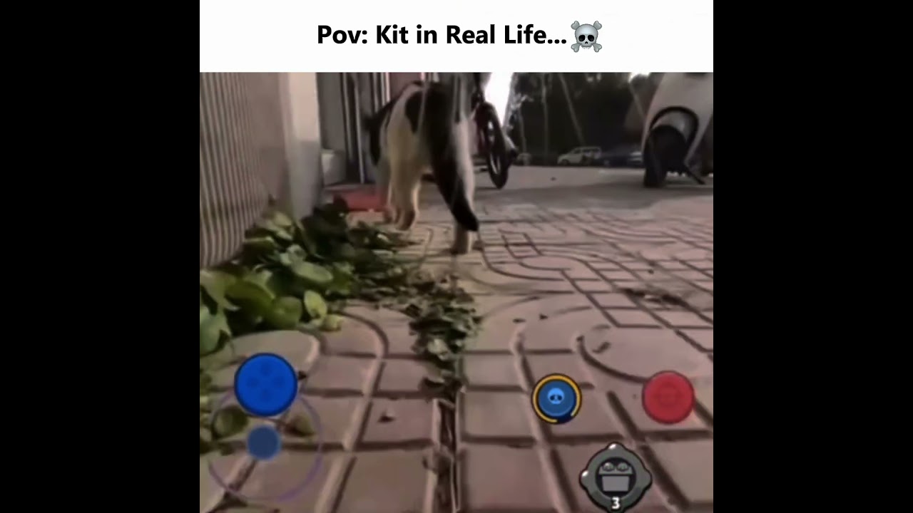 Пародийный ремикс. Автор оригинала: 