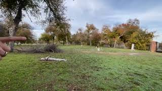 White Rock Cemetery Tour (Black History )