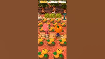 Animal Crossing Pocket Camp #Animalcrossing #ACPC #ACNH #Shorts