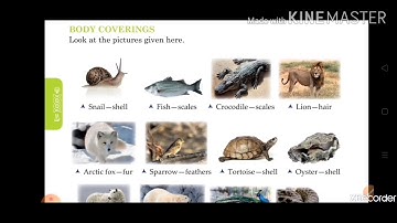 Chapter-2 Animals in Their Surroundings (Part--1) Science for class- 5