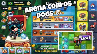 Arena with dogs  | BOMBER FRIENDS