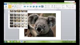 Word 14. Inserting Images/Clips screenshot 4