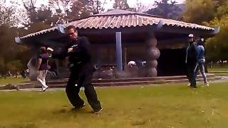 VID 20140419 120833