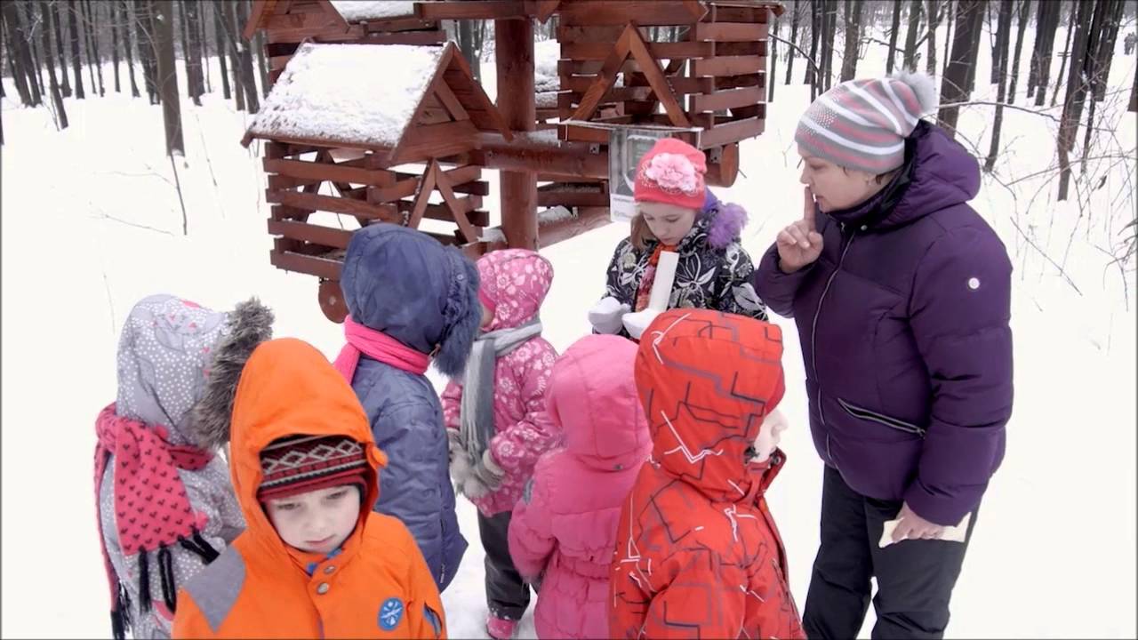 Загадочные тропинки природы