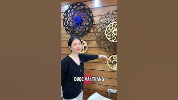Giá 2 bức tranh xoay này same same nhau, bác nào cần tư vấn alo em ạ