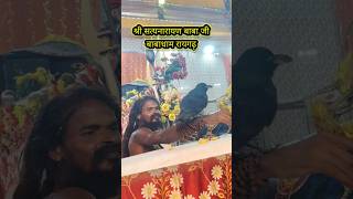 Shri Satyanarayan Baba Dham Raigarh Chhattisgarh shorts