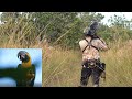 Cerrado Birding- Blue-throated Macaw quest: Barba Azul Nature Reserve, Bolivia