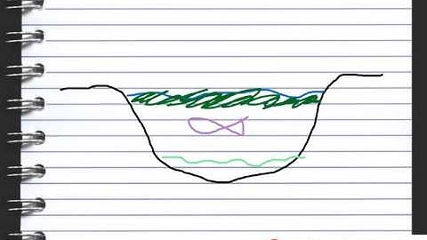 C2 Lesson 10 Eutrophication OCR Gateway