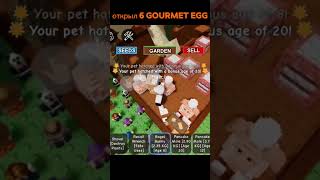 открыл 6 gourmet egg #gag #roblox #growagarden #games #gaming #fyp #роблокс