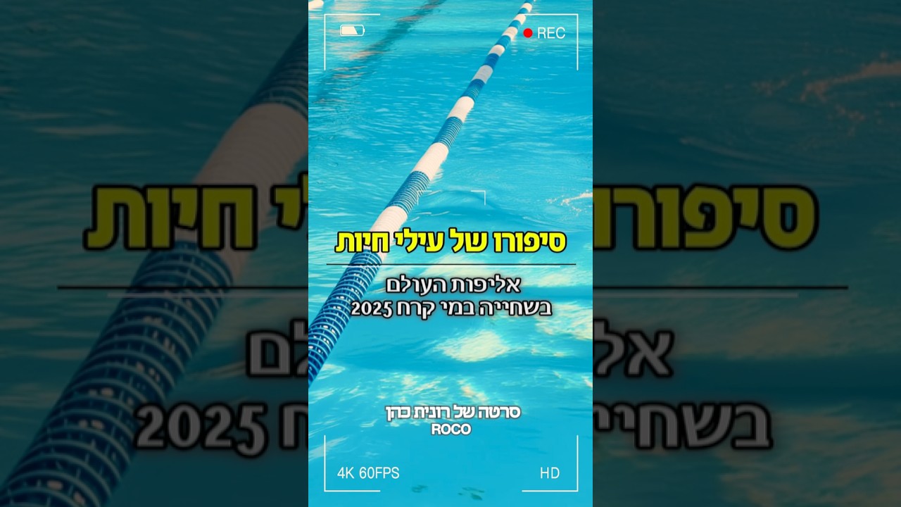 אליפות העולם בשחייה במי קרח - סיפורו של עילי חיות