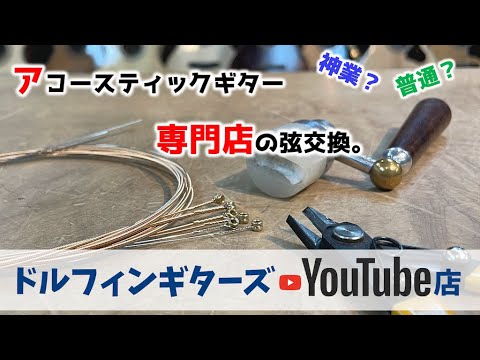 【新品弦交換】Enjoy Found GUITAR アコースティックギター 新品弦交換】Enjoy Found GUITAR アコースティックギター Amazon