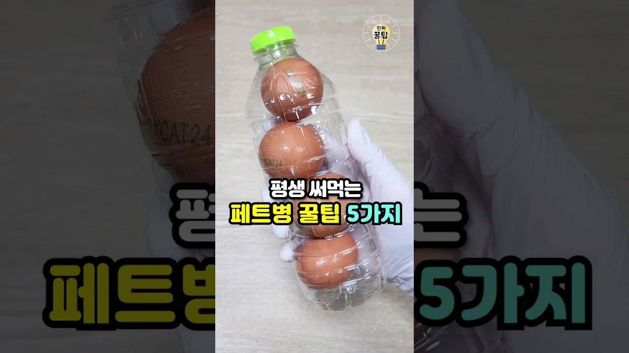평생 써먹는 페트병 꿀팁 5가지💡 #살림팁 #생활꿀팁 #꿀팁