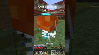 random clip #minecraft #sharpness #gaming #divinitysmp