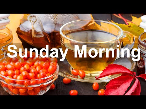 Sunday Morning Jazz - Mellow September Mood Bossa Nova Jazz Music