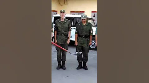 Похороны голубя.