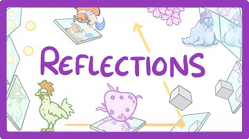 GCSE Physics - Reflection