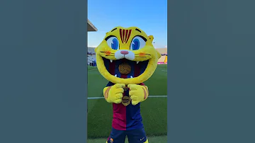 بايلالو روكي دويتو البخل تحديات المراه رونالدو المراره ضحك اكسبلور التغطيه غباء 